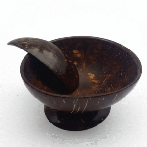 Coconut Shell Ice Cream Spoons