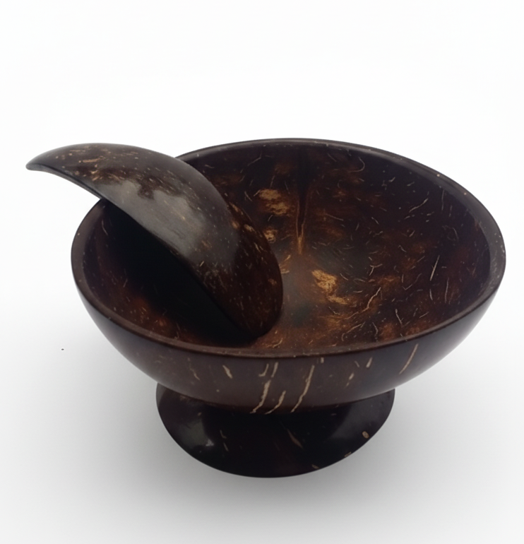 Coconut Shell Ice Cream Spoons