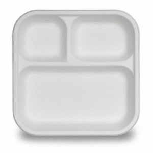 10 Inch Bagasse Square Plate 3CP