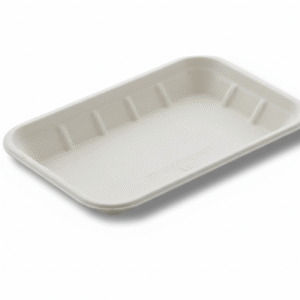 2D Tray Rectangle Bagasse
